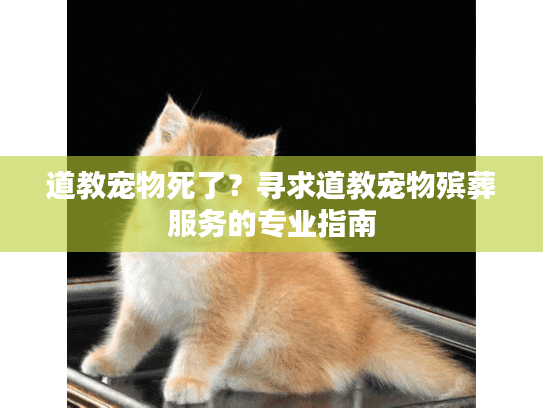 道教宠物死了？寻求道教宠物殡葬服务的专业指南