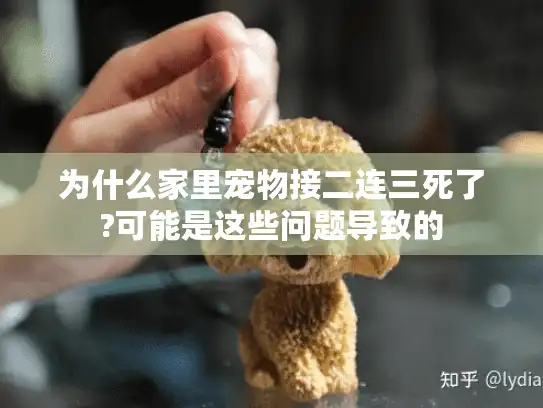 为什么家里宠物接二连三死了?可能是这些问题导致的