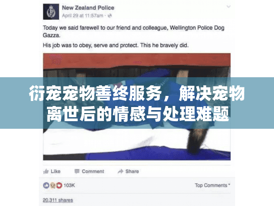 衍宠宠物善终服务,解决宠物离世后的情感与处理难题 衍宠宠物善终服务,解决宠物离世后的情感与处理难题