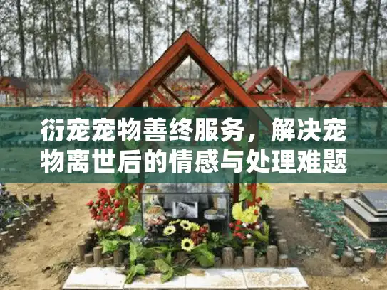 衍宠宠物善终服务,解决宠物离世后的情感与处理难题 衍宠宠物善终服务,解决宠物离世后的情感与处理难题