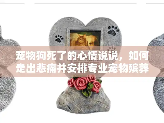 宠物狗死了的心情说说，如何走出悲痛并安排专业宠物殡葬服务