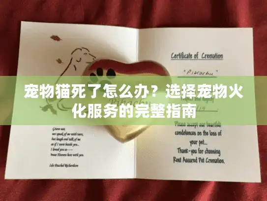 宠物猫死了怎么办？选择宠物火化服务的完整指南