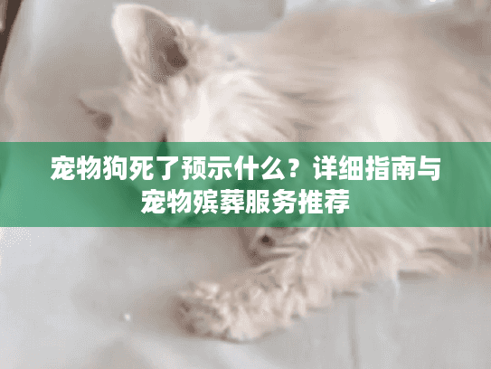 宠物狗死了预示什么?详细指南与宠物殡葬服务推荐 宠物狗死了预示什么?详细指南与宠物殡葬服务推荐