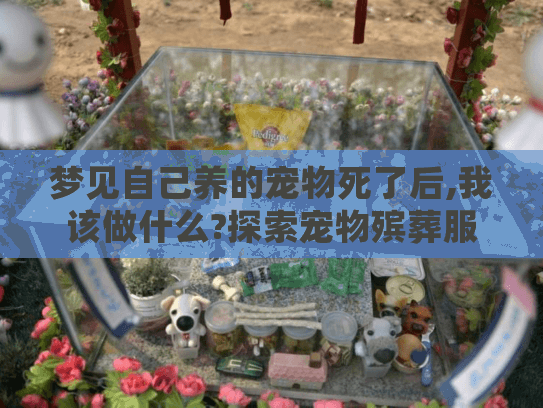 梦见自己养的宠物死了后,我该做什么?探索宠物殡葬服务新选择