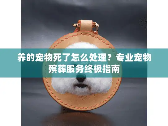 养的宠物死了怎么处理?专业宠物殡葬服务终极指南 养的宠物死了怎么处理?专业宠物殡葬服务终极指南