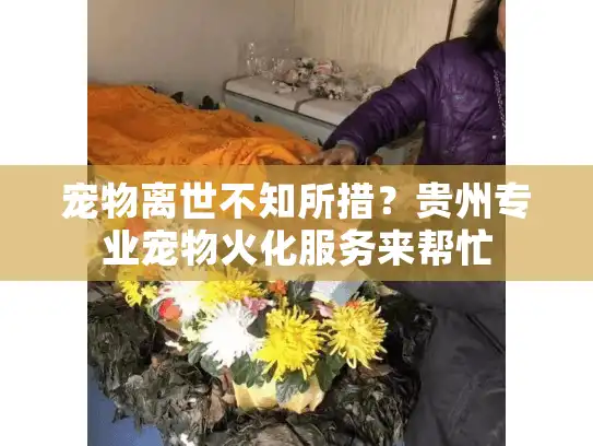 宠物离世不知所措？贵州专业宠物火化服务来帮忙