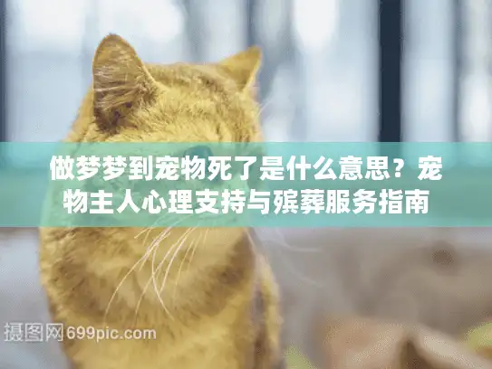 做梦梦到宠物死了是什么意思？宠物主人心理支持与殡葬服务指南