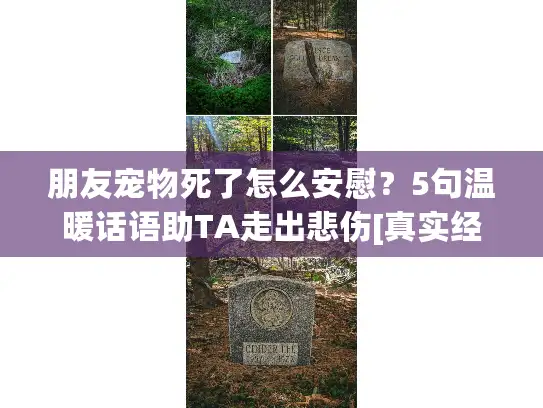朋友宠物死了怎么安慰？5句温暖话语助TA走出悲伤[真实经验]
