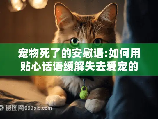 宠物死了的安慰语:如何用贴心话语缓解失去爱宠的痛苦