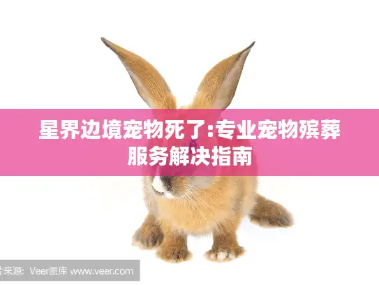 星界边境宠物死了:专业宠物殡葬服务解决指南