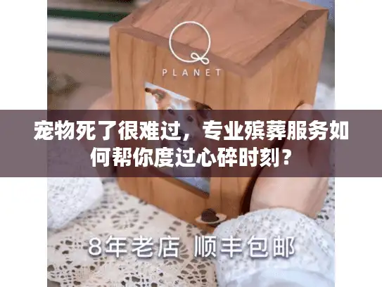 宠物死了很难过，专业殡葬服务如何帮你度过心碎时刻？