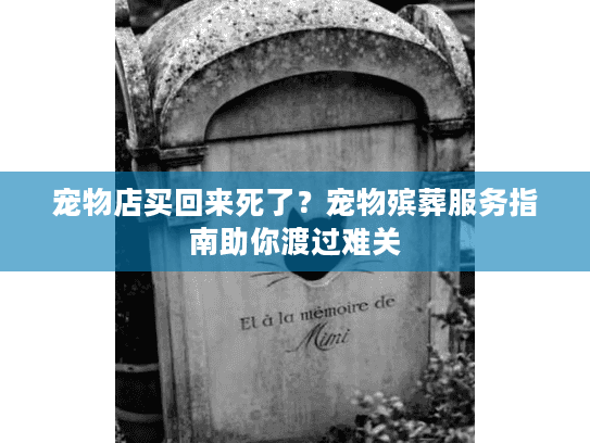 宠物店买回来死了?宠物殡葬服务指南助你渡过难关 宠物店买回来死了?宠物殡葬服务指南助你渡过难关