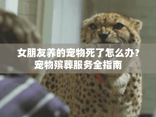 女朋友养的宠物死了怎么办？宠物殡葬服务全指南