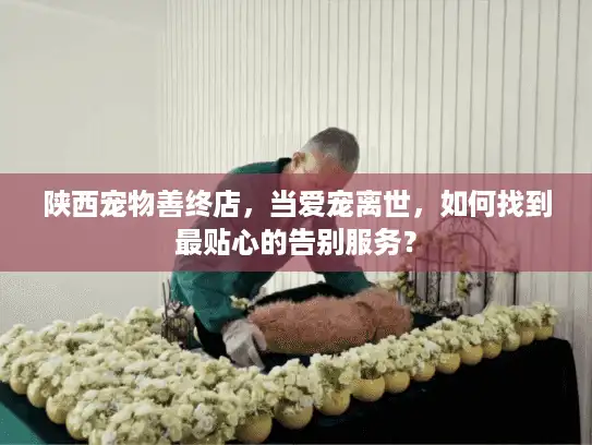 陕西宠物善终店，当爱宠离世，如何找到最贴心的告别服务？