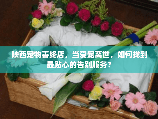 陕西宠物善终店，当爱宠离世，如何找到最贴心的告别服务？