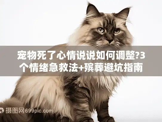 宠物死了心情说说如何调整?3个情绪急救法+殡葬避坑指南