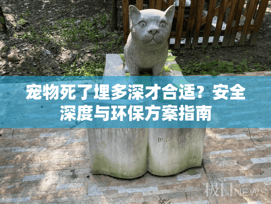 宠物死了埋多深才合适？安全深度与环保方案指南