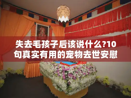 失去毛孩子后该说什么?10句真实有用的宠物去世安慰语指南
