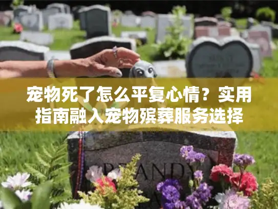 宠物死了怎么平复心情？实用指南融入宠物殡葬服务选择