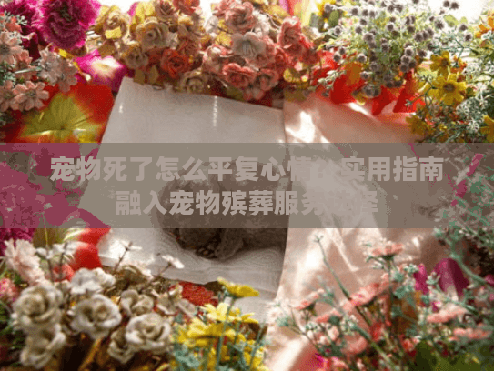 宠物死了怎么平复心情？实用指南融入宠物殡葬服务选择