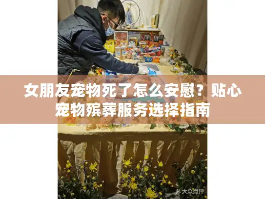 女朋友宠物死了怎么安慰？贴心宠物殡葬服务选择指南