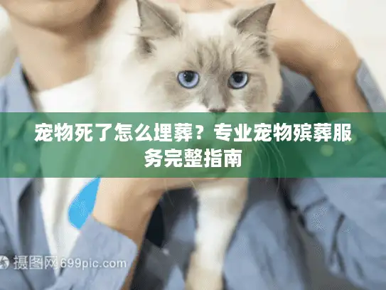 宠物死了怎么埋葬？专业宠物殡葬服务完整指南