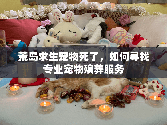 荒岛求生宠物死了，如何寻找专业宠物殡葬服务