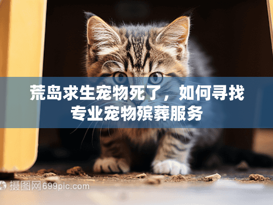 荒岛求生宠物死了，如何寻找专业宠物殡葬服务