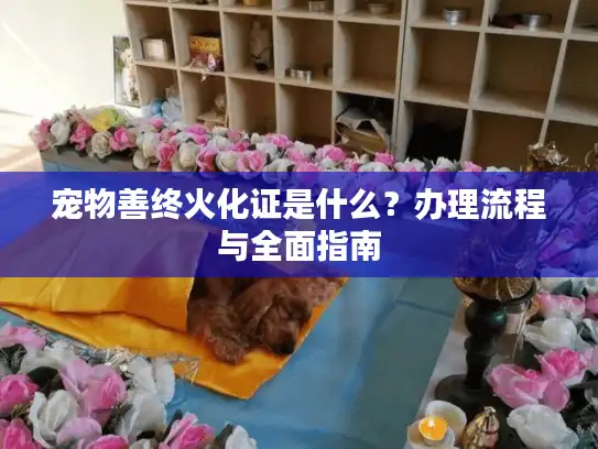 宠物善终火化证是什么?办理流程与全面指南 宠物善终火化证是什么?办理流程与全面指南