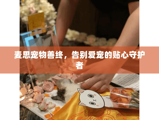 麦思宠物善终，告别爱宠的贴心守护者