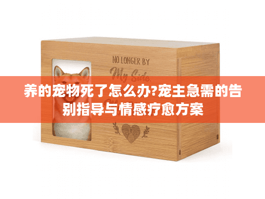 养的宠物死了怎么办?宠主急需的告别指导与情感疗愈方案