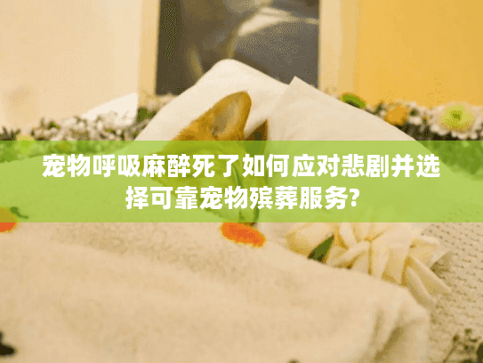 宠物呼吸麻醉死了如何应对悲剧并选择可靠宠物殡葬服务?