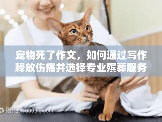 宠物死了作文，如何通过写作释放伤痛并选择专业殡葬服务