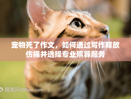 宠物死了作文，如何通过写作释放伤痛并选择专业殡葬服务