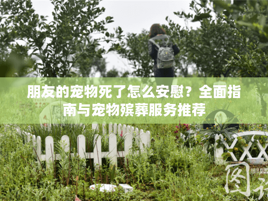 朋友的宠物死了怎么安慰?全面指南与宠物殡葬服务推荐 朋友的宠物死了怎么安慰?全面指南与宠物殡葬服务推荐