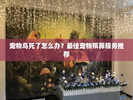宠物鸟死了怎么办？最佳宠物殡葬服务推荐