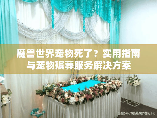 魔兽世界宠物死了?实用指南与宠物殡葬服务解决方案 魔兽世界宠物死了?实用指南与宠物殡葬服务解决方案