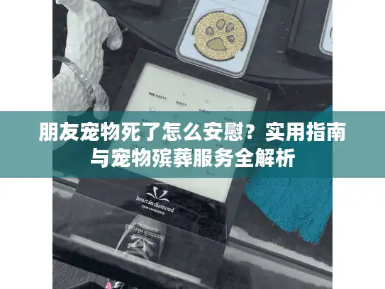 朋友宠物死了怎么安慰？实用指南与宠物殡葬服务全解析