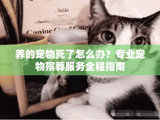 养的宠物死了怎么办？专业宠物殡葬服务全程指南