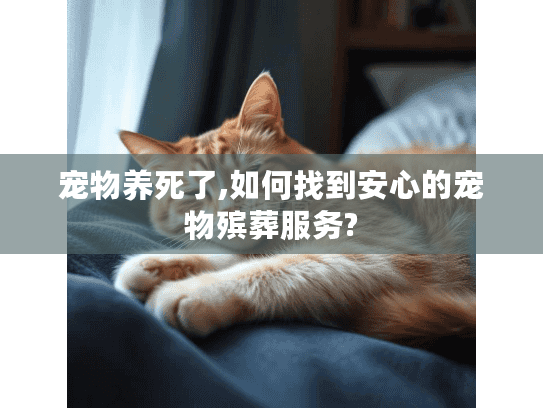 宠物养死了,如何找到安心的宠物殡葬服务?