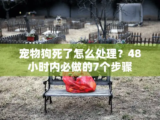 宠物狗死了怎么处理？48小时内必做的7个步骤