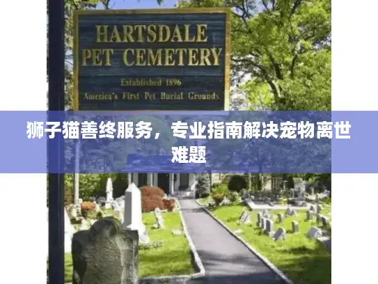 狮子猫善终服务，专业指南解决宠物离世难题