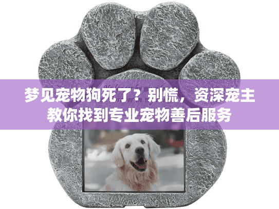 梦见宠物狗死了？别慌，资深宠主教你找到专业宠物善后服务