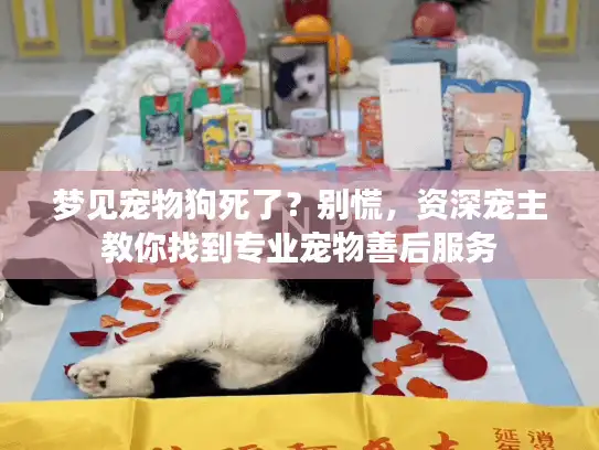 梦见宠物狗死了？别慌，资深宠主教你找到专业宠物善后服务