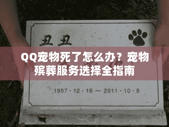 QQ宠物死了怎么办？宠物殡葬服务选择全指南
