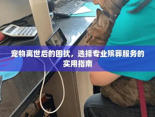 宠物离世后的困扰，选择专业殡葬服务的实用指南