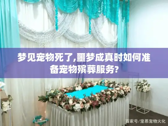 梦见宠物死了,噩梦成真时如何准备宠物殡葬服务?