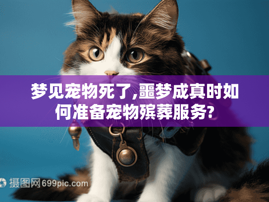 梦见宠物死了,噩梦成真时如何准备宠物殡葬服务?