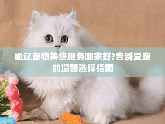 通辽宠物善终服务哪家好?告别爱宠的温馨选择指南