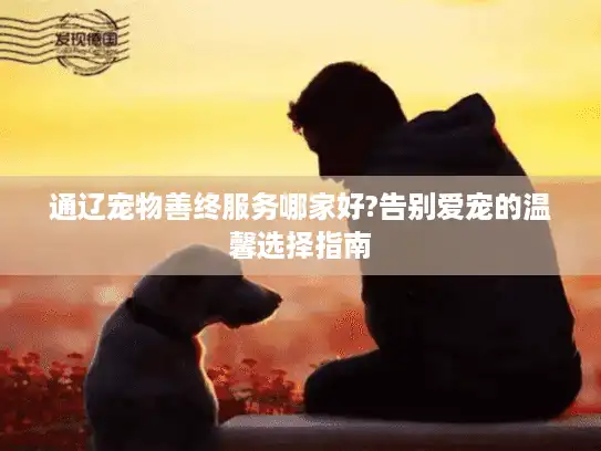通辽宠物善终服务哪家好?告别爱宠的温馨选择指南